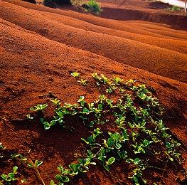 《如龙8外传》制作人介绍游戏设计与战斗机制思路